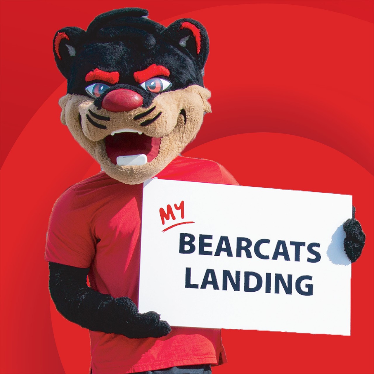 my bearcats landing graphic