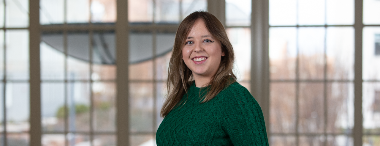 Software Development Banner